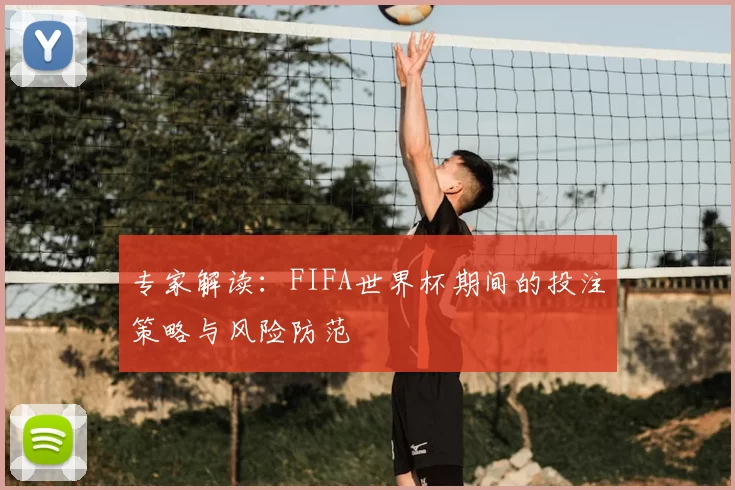 专家解读:FIFA世界杯期间的投注策略与风险防范