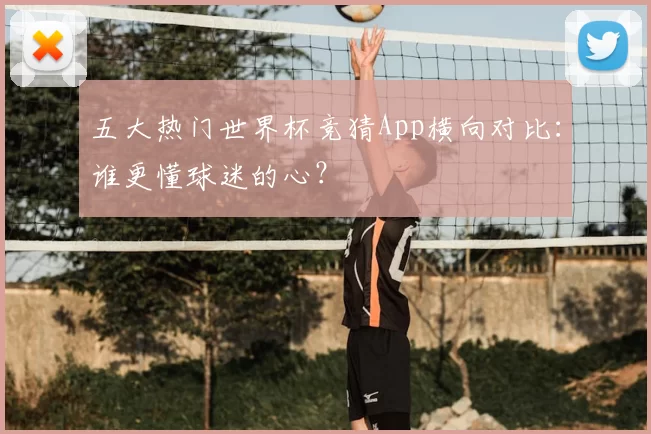五大热门世界杯竞猜App横向对比：谁更懂球迷的心？