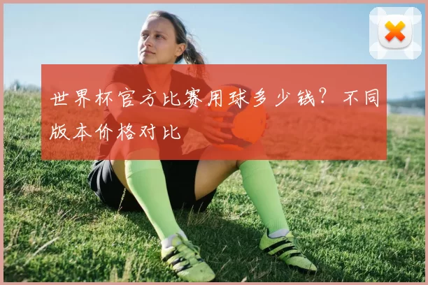 世界杯官方比赛用球多少钱?不同版本价格对比