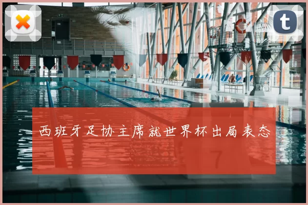 西班牙足协主席就世界杯出局表态