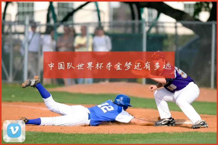 中国队世界杯夺金梦还有多远