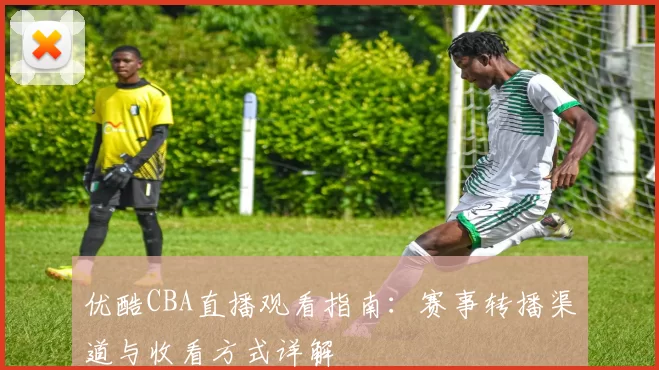 优酷CBA直播观看指南：赛事转播渠道与收看方式详解