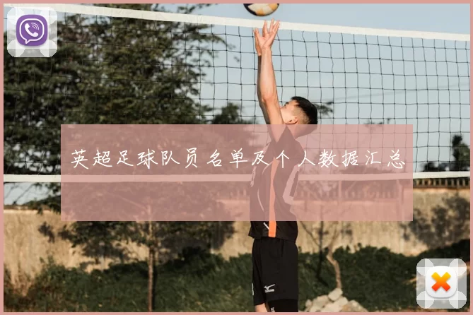 英超足球队员名单及个人数据汇总