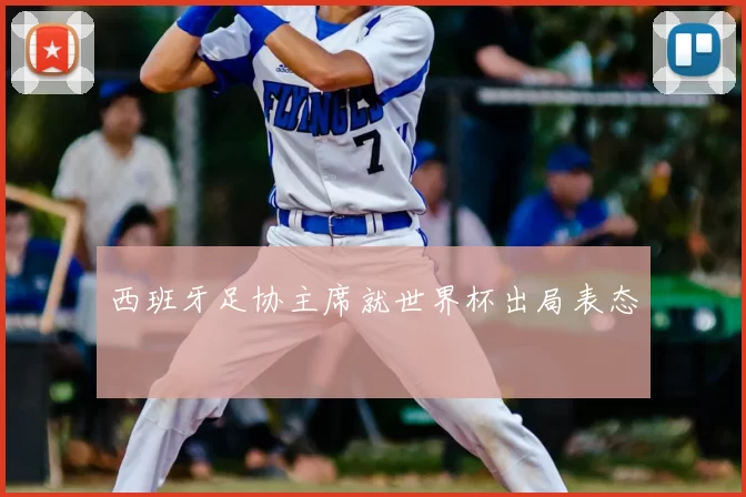 西班牙足协主席就世界杯出局表态