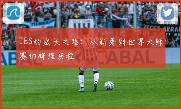 TES的成长之路:从新秀到世界大师赛的辉煌历程