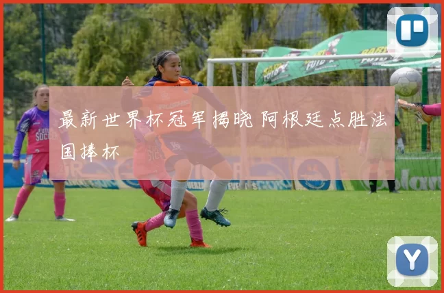 最新世界杯冠军揭晓 阿根廷点胜法国捧杯