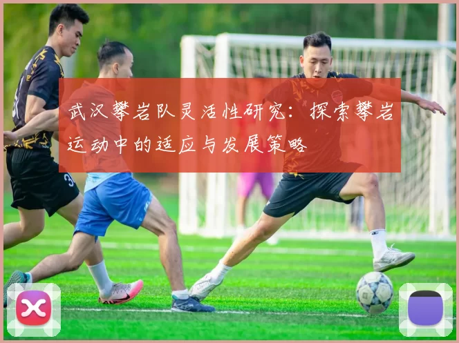 武汉攀岩队灵活性研究：探索攀岩运动中的适应与发展策略