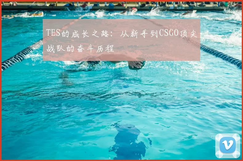 TES的成长之路:从新手到CSGO顶尖战队的奋斗历程