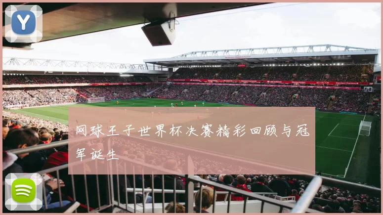 网球王子世界杯决赛精彩回顾与冠军诞生