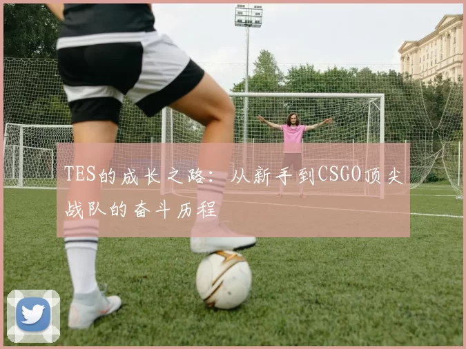 TES的成长之路:从新手到CSGO顶尖战队的奋斗历程