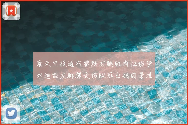 意天空报道布雷默右腿肌肉拉伤伊尔迪兹左脚踝受伤欧冠出战前景堪忧