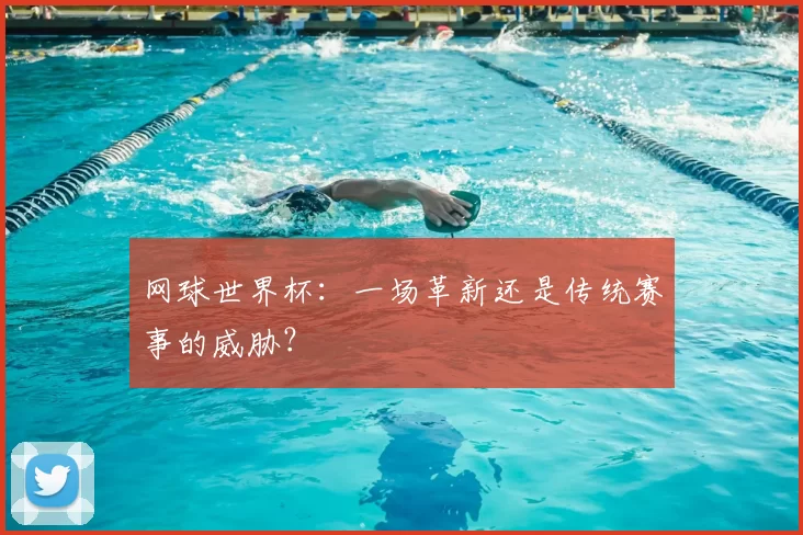 网球世界杯:一场革新还是传统赛事的威胁?