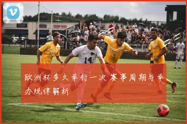 欧洲杯多久举行一次 赛事周期与举办规律解析