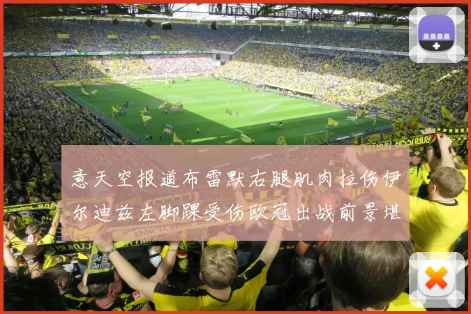 意天空报道布雷默右腿肌肉拉伤伊尔迪兹左脚踝受伤欧冠出战前景堪忧