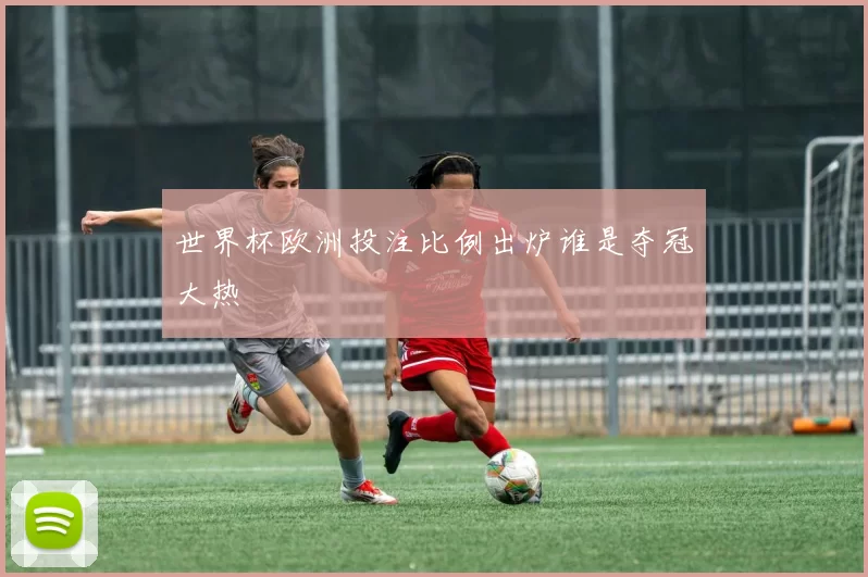 世界杯欧洲投注比例出炉谁是夺冠大热