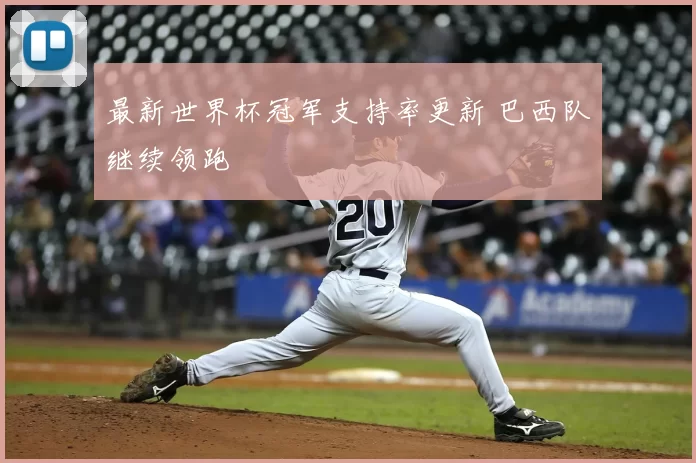 最新世界杯冠军支持率更新 巴西队继续领跑
