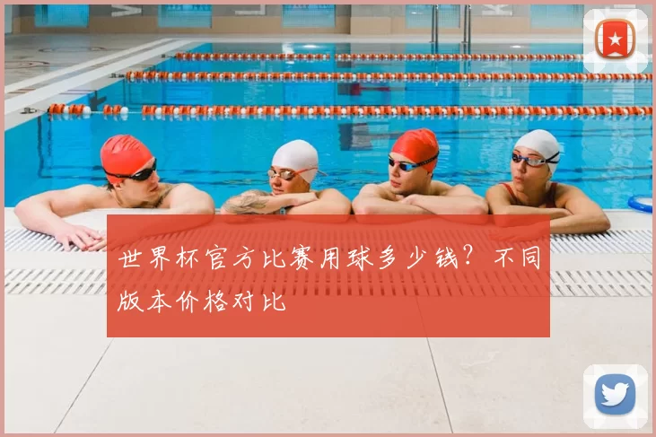 世界杯官方比赛用球多少钱？不同版本价格对比