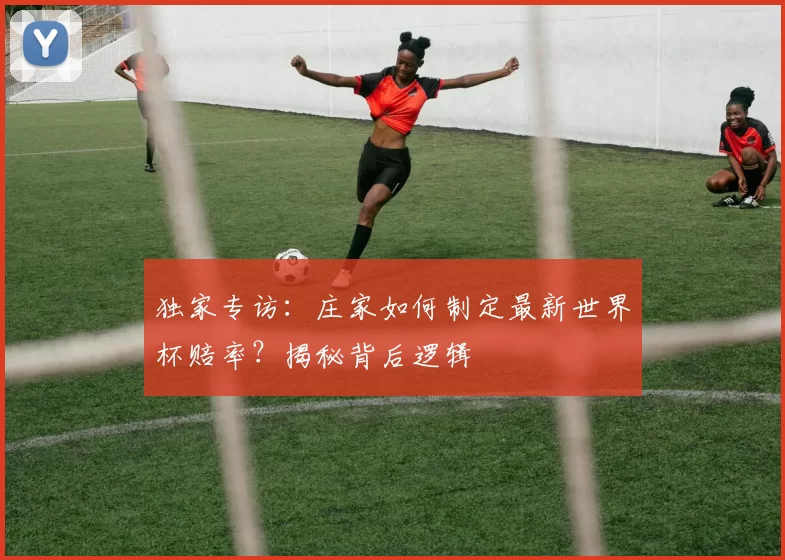 独家专访：庄家如何制定最新世界杯赔率？揭秘背后逻辑